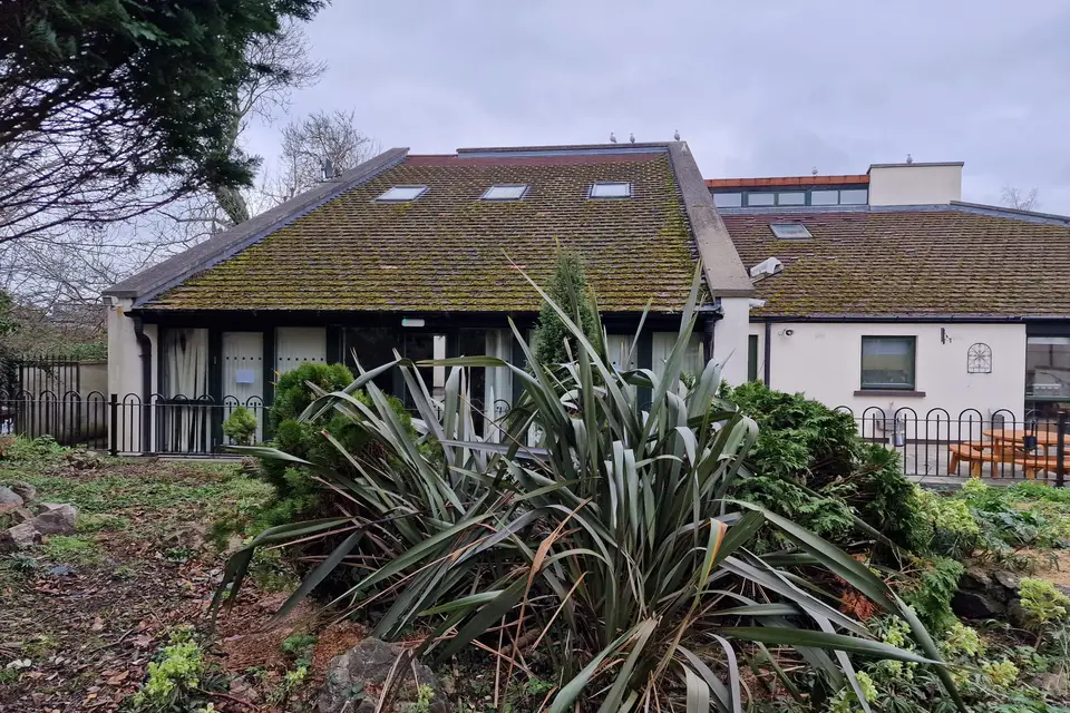 Moss-covered roof before work started